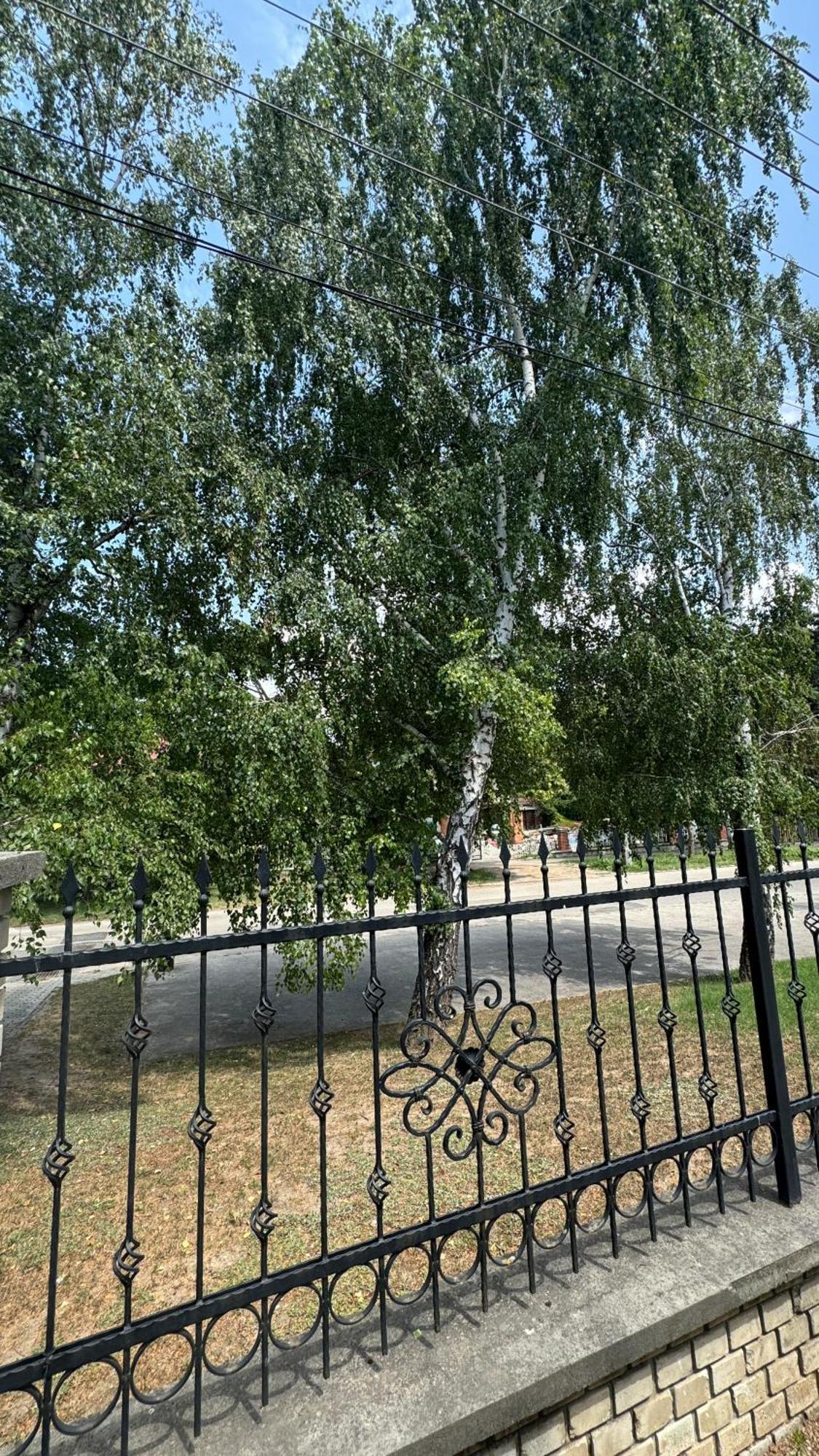 5 Haloszobas Wellness Vip House - Privat Medence Siofok Bagian luar foto